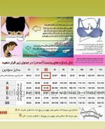سوتین مینی مایزر زنبوری پرسی بدون فنر ینینچی 1700 مشکی